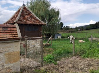 Longère indépendante secteur Brinon-sur-Beuvron